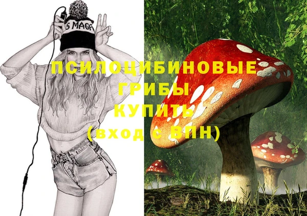 винт Богородицк