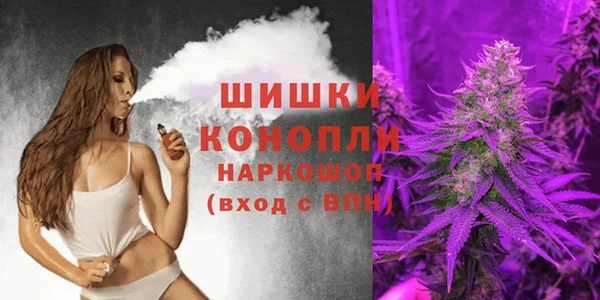 хмурый Богородск