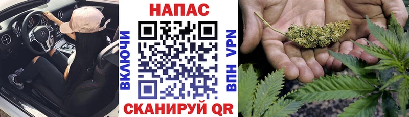 МАРИХУАНА Amnesia  купить закладку  Кочубеевское 